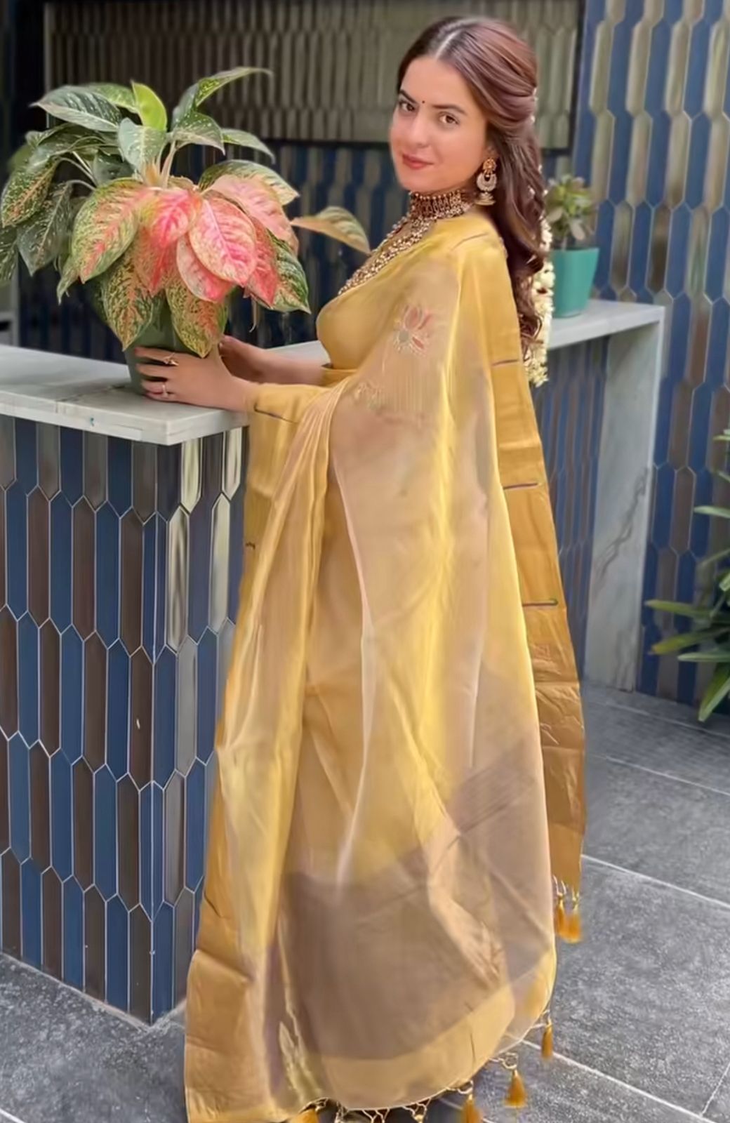 Tissue silk all over buti border muniya work chanderi handloom weave saree